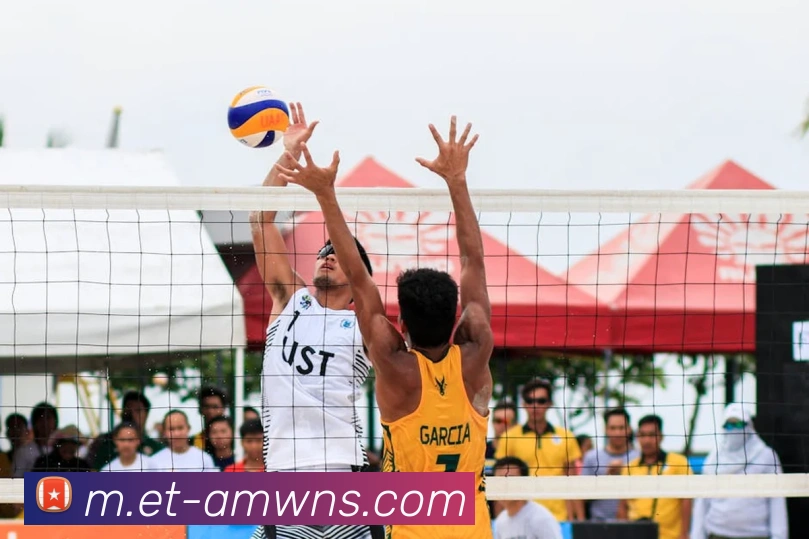 App Interface Preview