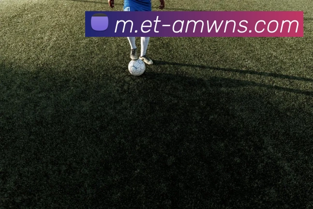 威尼斯人娱乐网站APP 封面图